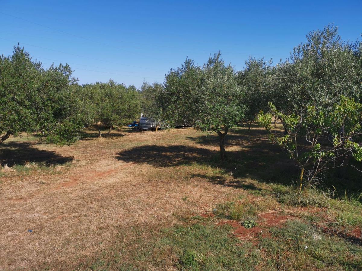 Jacuzi Cottage In The Olive Grove Pula Ngoại thất bức ảnh