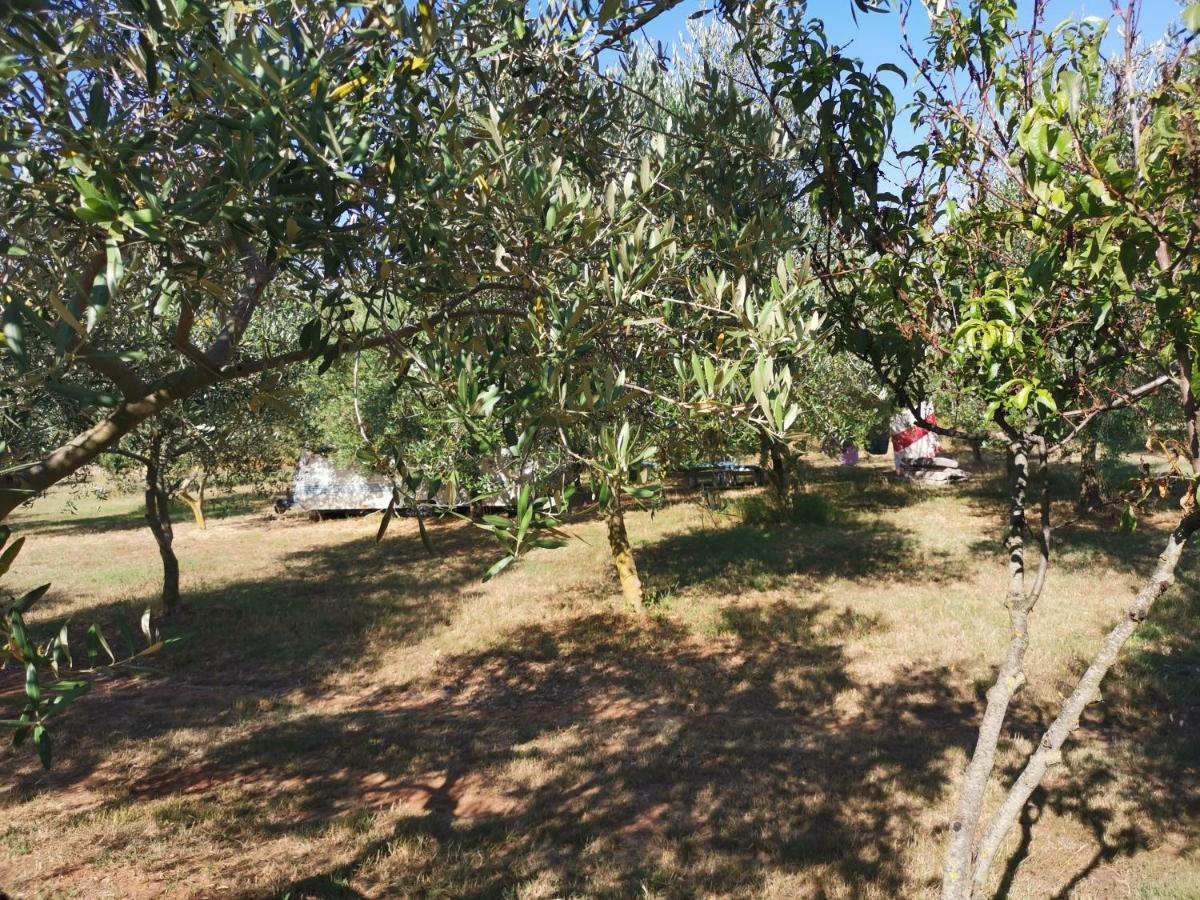 Jacuzi Cottage In The Olive Grove Pula Ngoại thất bức ảnh