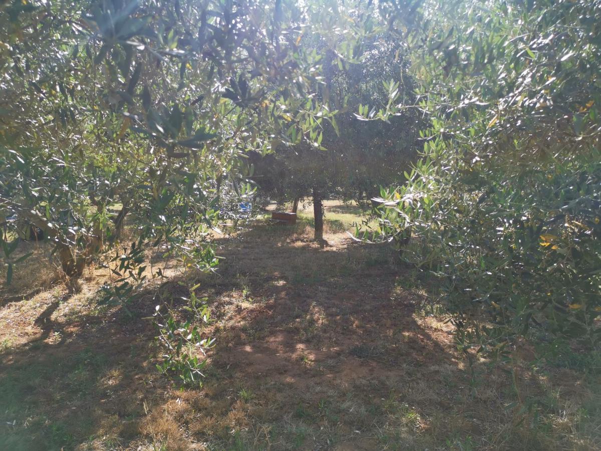 Jacuzi Cottage In The Olive Grove Pula Ngoại thất bức ảnh