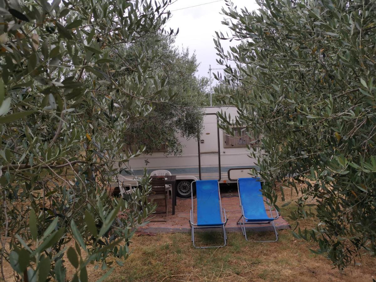 Jacuzi Cottage In The Olive Grove Pula Ngoại thất bức ảnh