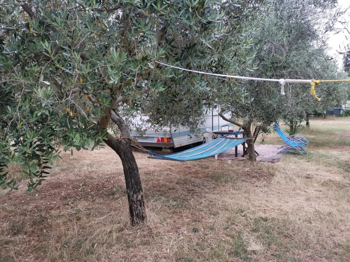 Jacuzi Cottage In The Olive Grove Pula Ngoại thất bức ảnh