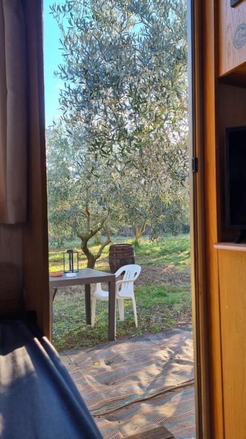 Jacuzi Cottage In The Olive Grove Pula Ngoại thất bức ảnh