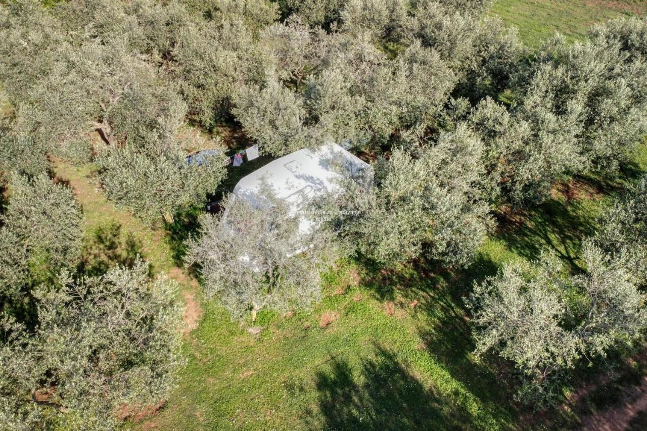 Jacuzi Cottage In The Olive Grove Pula Ngoại thất bức ảnh