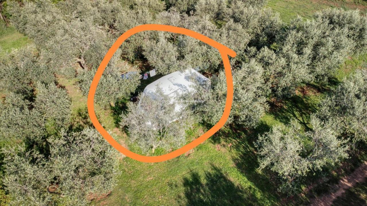 Jacuzi Cottage In The Olive Grove Pula Ngoại thất bức ảnh