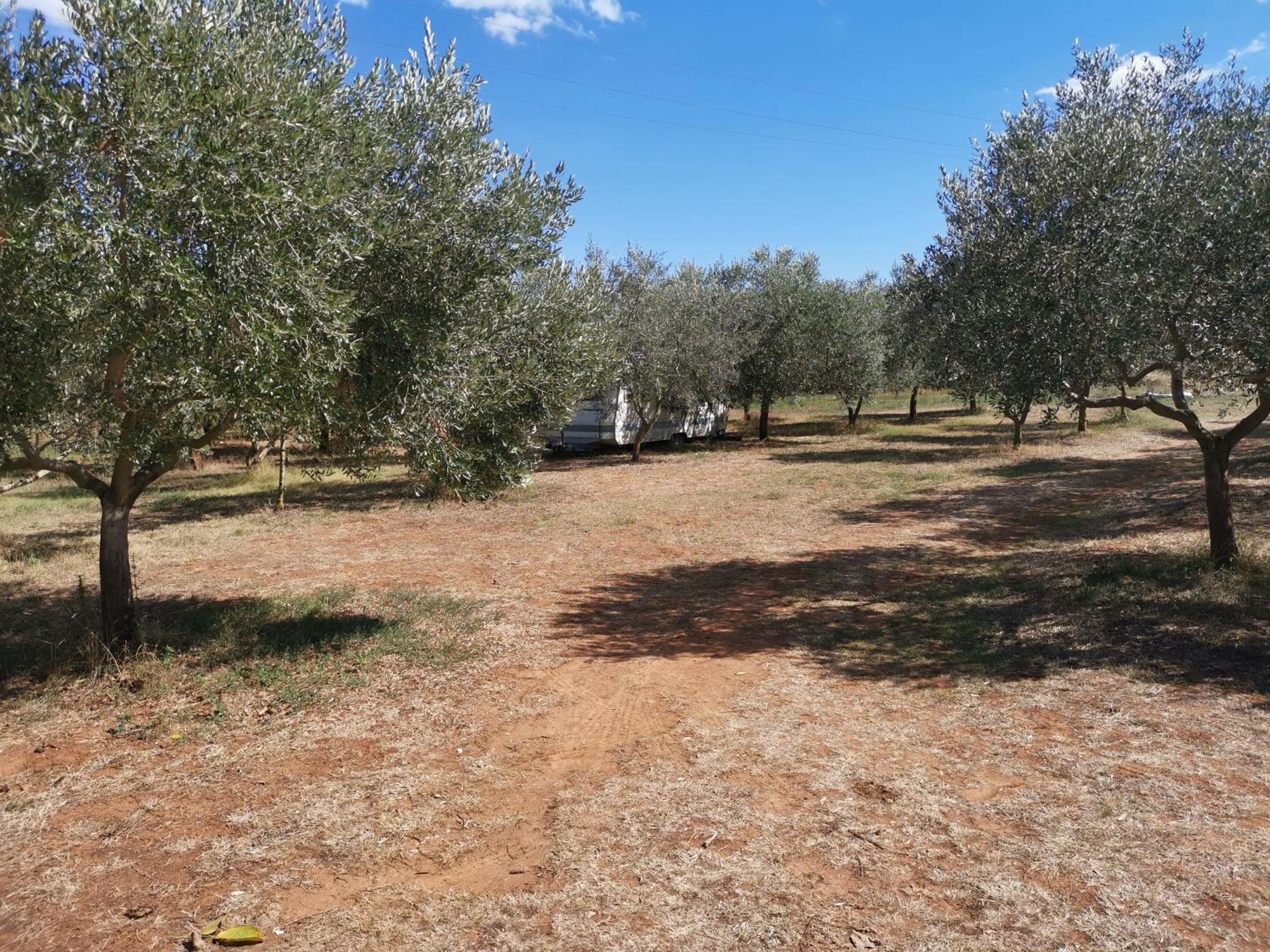 Jacuzi Cottage In The Olive Grove Pula Phòng bức ảnh